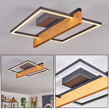 Pompu lampa sufitowa LED kolory naturalne, czarny, 1-punktowy