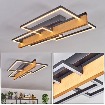 Pompu lampa sufitowa LED kolory naturalne, czarny, 1-punktowy