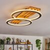 Pompu lampa sufitowa LED kolory naturalne, czarny, 1-punktowy