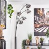 Gastor Lampa stojąca Chrom, Przezroczysty, Przydymiony, 5-punktowe