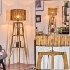 Cando lampa stojąca kolory naturalne, 1-punktowy