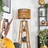 Cando lampa stojąca kolory naturalne, 1-punktowy