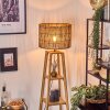 Cando lampa stojąca kolory naturalne, 1-punktowy