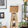Cando lampa stojąca kolory naturalne, 1-punktowy