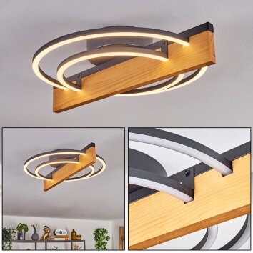 Pompu lampa sufitowa LED kolory naturalne, czarny, 1-punktowy