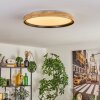 Melstad lampa sufitowa LED kolory naturalne, biały, 1-punktowy, Zdalne sterowanie