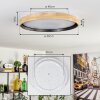 Melstad lampa sufitowa LED kolory naturalne, biały, 1-punktowy, Zdalne sterowanie