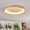 Lockeby Lampa sufitowa LED Ecru, Biały, 1-punktowy