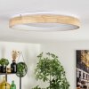 Lockeby lampa sufitowa LED kolory naturalne, biały, 1-punktowy