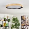 Melstad lampa sufitowa LED kolory naturalne, czarny, biały, 1-punktowy