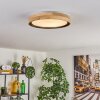 Melstad lampa sufitowa LED kolory naturalne, czarny, biały, 1-punktowy