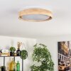 Tabernas lampa sufitowa LED kolory naturalne, biały, 1-punktowy