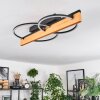Pompu lampa sufitowa LED kolory naturalne, czarny, 1-punktowy