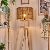 Cando lampa stojąca kolory naturalne, 1-punktowy