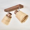 Lindberg lampa sufitowa chrom, kolory naturalne, 2-punktowe