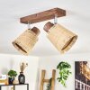 Lindberg lampa sufitowa chrom, kolory naturalne, 2-punktowe