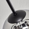 Gastor Lampa sufitowa Chrom, Przydymiony, 6-punktowe