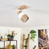 Fallhagen Lampa sufitowa Ecru, 1-punktowy