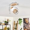 Fallhagen Lampa sufitowa Ecru, 1-punktowy