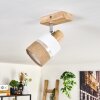 Fallhagen Lampa sufitowa Ecru, 1-punktowy