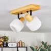 Miguas lampa sufitowa kolory naturalne, czarny, 2-punktowe