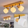 Miguas lampa sufitowa chrom, kolory naturalne, czarny, 3-punktowe