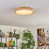 Tabernas lampa sufitowa LED kolory naturalne, biały, 1-punktowy, Zdalne sterowanie