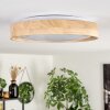 Tabernas lampa sufitowa LED kolory naturalne, biały, 1-punktowy, Zdalne sterowanie