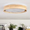 Tabernas lampa sufitowa LED kolory naturalne, biały, 1-punktowy, Zdalne sterowanie
