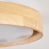 Tabernas lampa sufitowa LED kolory naturalne, biały, 1-punktowy, Zdalne sterowanie