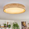Tabernas lampa sufitowa LED kolory naturalne, biały, 1-punktowy, Zdalne sterowanie