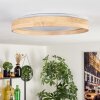Tabernas lampa sufitowa LED kolory naturalne, biały, 1-punktowy, Zdalne sterowanie