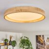 Tabernas lampa sufitowa LED kolory naturalne, biały, 1-punktowy, Zdalne sterowanie