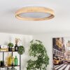 Tabernas lampa sufitowa LED kolory naturalne, biały, 1-punktowy, Zdalne sterowanie