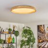 Tabernas lampa sufitowa LED kolory naturalne, biały, 1-punktowy, Zdalne sterowanie