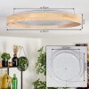 Tabernas lampa sufitowa LED kolory naturalne, biały, 1-punktowy, Zdalne sterowanie