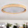 Tabernas lampa sufitowa LED kolory naturalne, biały, 1-punktowy, Zdalne sterowanie