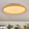 Tabernas lampa sufitowa LED kolory naturalne, biały, 1-punktowy, Zdalne sterowanie