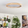 Tabernas lampa sufitowa LED kolory naturalne, biały, 1-punktowy, Zdalne sterowanie