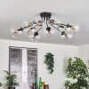 Gastor Lampa sufitowa 83 cm Przezroczysty, 10-punktowe