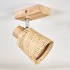 Lindberg lampa sufitowa chrom, kolory naturalne, 1-punktowy