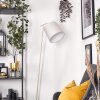 Nobar lampa stojąca, lampka do czytania beżowy, 1-punktowy