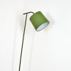 Nobar Lampa stojąca, Lampa do czytania Zielony, 1-punktowy