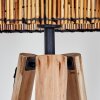 Cando lampa stojąca kolory naturalne, czarny, 1-punktowy