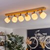 Miguas lampa sufitowa kolory naturalne, czarny, 6-punktowe