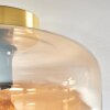 Boza lampa sufitowa bursztynowy, przezroczysty, 1-punktowy