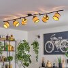 Chellas Lampa sufitowa Czarny, 6-punktowe