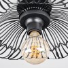 Cristelo Lampa sufitowa Czarny, 1-punktowy