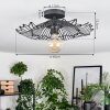 Cristelo Lampa sufitowa Czarny, 1-punktowy