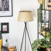 Sabadim lampa stojąca beżowy, 1-punktowy